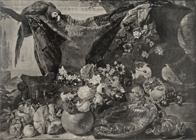 Anonimo — Brueghel Abraham - sec. XVII - Natura morta con frutta, fiori, tendaggio e pappagallo — insieme